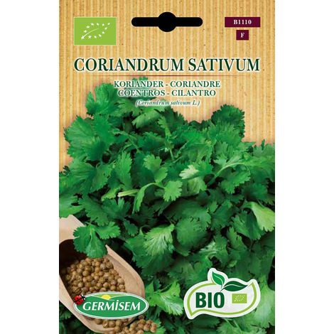 Bio Graines Coriandre Coriandrum Sativum Multicolore