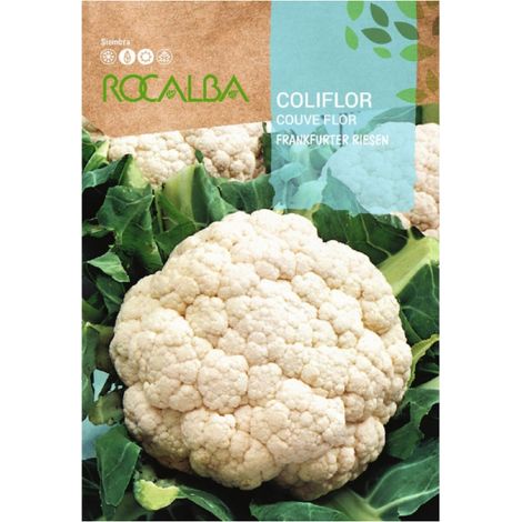 Rokalba Coliflor Frankfurter Riesen 3G