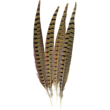 Plume de Faisan à Collier - Naturelle - Pour Décoration Chapeau Bijoux - Longueur 30,5 à 35,5 cm - Lot de 4 (1/2)