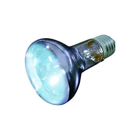 Ampoule lumière du jour joule - 50w (1/2)