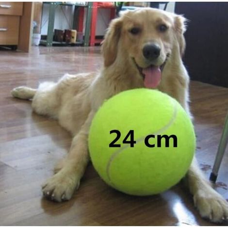 24CM Géant Balle De Tennis Pour Os À Mâcher Jouet Grand Gonflable Balle de tennis Signature Jumbo Pet Joue Extérieure Cricket (1/4)