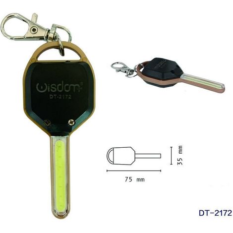 Wisdom - Set 2 Pezzi Mini Torcia Portachiavi Led Cob A Forma Di Chiave Portatile Dt-2172 - (1/3)