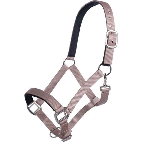 Capezza Breakaway: Pony, violetto