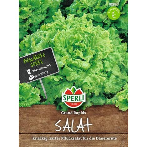 Sperli Pflücksalat Grand Rapids - Gemüsesamen (1/4)