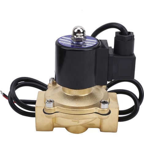 Électrovanne G1 pouce en laiton, normalement fermée, à action directe, pour applications industrielles, 2 A – 250–25 V, 220 V CA (1/5)