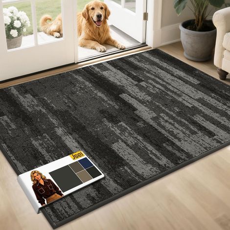Tapis Anti-Salissures d'Intérieur 80x120 cm, Tapis de Sol Antidérapant Lavable en Machine, Paillasson Imperméable, Entrée, Porte d'Entrée et Couloir, Gris Clair (1/5)