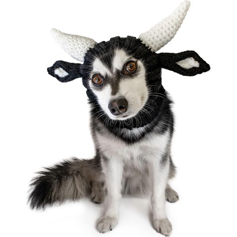 Tour de cou chaud en maille pour chien - Déguisement de taureau - Protection douillette pour le cou et les oreilles, idéal pour Halloween et l'hiver (1/5)