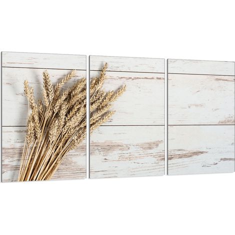 Piastra protettiva in vetro per stufa 3x30x52 (1/5)