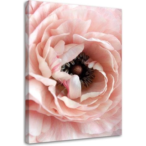 Tableau sur toile Pivoine Fleurs Rose 40x60 (1/5)