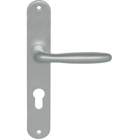 Ensemble pour porte palière type Iris clé I entraxe 195 mm aluminium anodisé