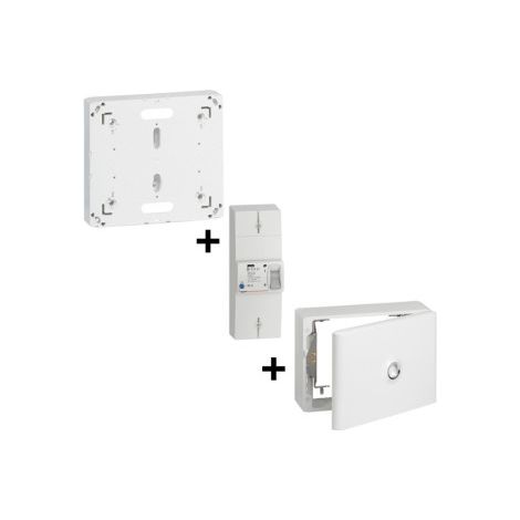 Legrand - Disjoncteur de branchement EDF 60A Instantanu00e9 + Platine + Habillage 18Modules Avec Porte - Ru00e9f. : 401051+401191+401189 (1/5)