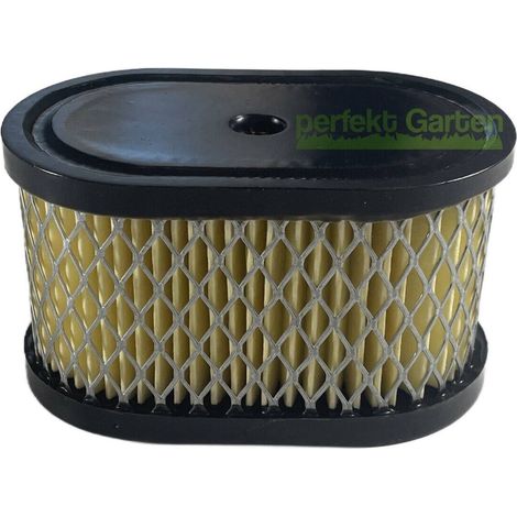 filtre à air pour moteurs Briggs & Stratton B&S 5-6CV 099700 12U800 / Sabo SA26630 (1/3)