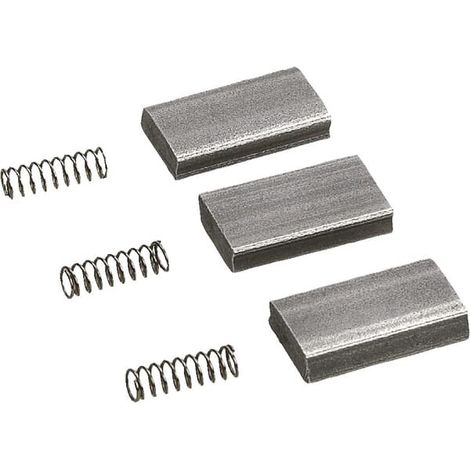 Camma con molla BONDIOLI 6PAVESI 4210C0001R03
