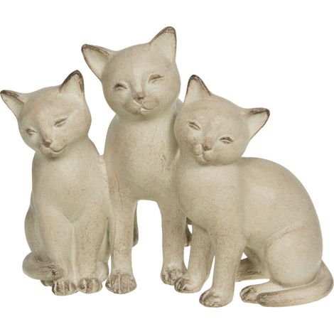 Amadeus - Famille chat crème