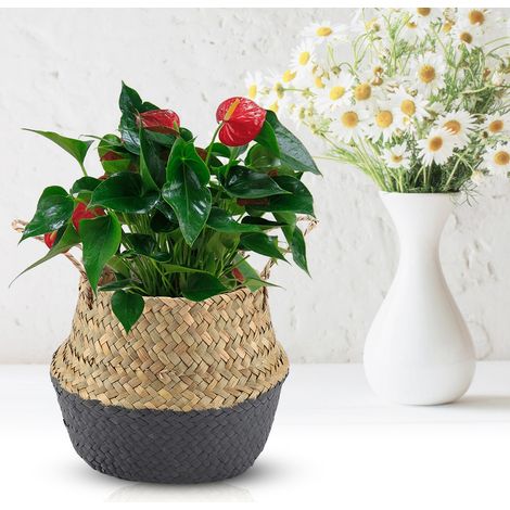 Panier en jonc de mer naturel tissé pliable pour rangement vêtements et cache-pot fleurs (Noir) (1/3)