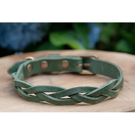 Collier pour Chien en Cuir Tressé Vert - Fait Main en Cuir Tannage Végétal avec Boucle - PANGIVO