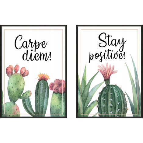 PÓSTER CON MARCO 53x73cm Díptico Conjunto de 2 cuadros Carpe Diem Cactus P980 (1/3)