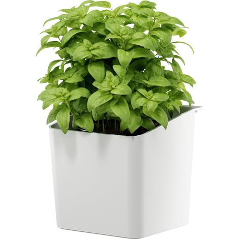 Accessorio cucina tesa senza fori montaggio adesivo