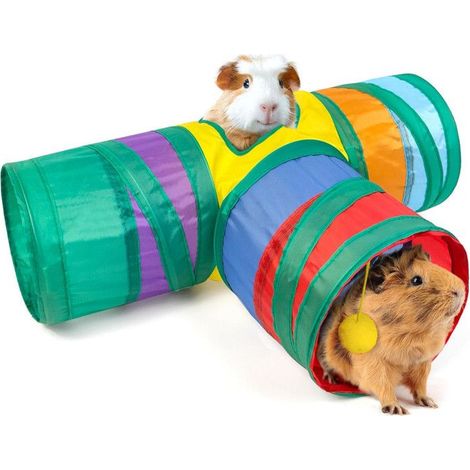 Tunnel pour cochon d'Inde, jouets pour cochon d'Inde, kit de tubes et tunnels pour hamster, tunnel suspendu pour petits (1/5)