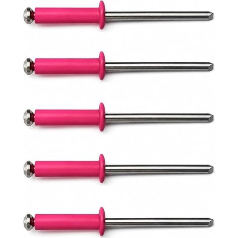 Rivets Aveugles Rose 4010 Plaques d'immatriculation provisoires WW (1/4)