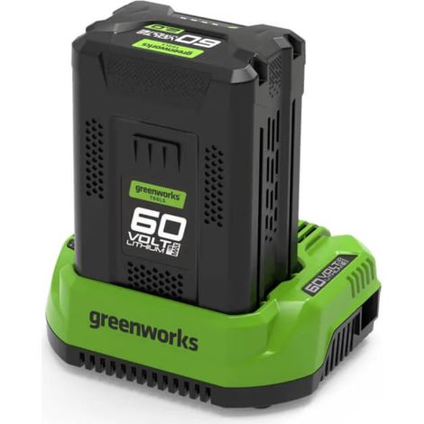 Souffleur de feuilles sans fil Greenworks GD60ABK4 60 V 1x4 0 Ah accu.