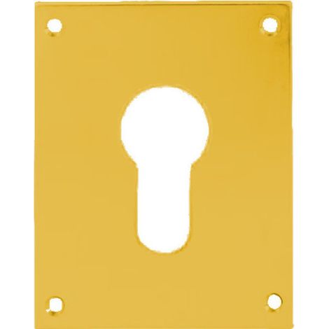 Heracles – Plaque de propreté laiton poli 90x65mm – Protection serrure contre l'usure – Finition brillante pour tous styles de portes (1/3)