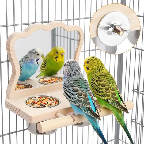 Perchoir sur pied avec miroir, structure verticale et gamelle en acier inoxydable — une aire de jeu et d'activité en bois un accessoire pour cage adapté aux perroquets et aux canaris. (1/5)