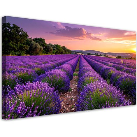 Cuadro sobre Lienzo, Campo de lavanda atardecer, 120x60 (1/5)