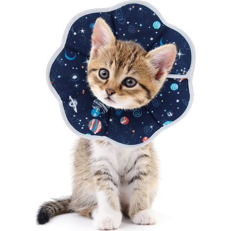 Collerettes pour Chiens Chat,Collerettes Chat Anti-Morsure Protection,Doux et Confortable,Ajustable (S) (1/5)