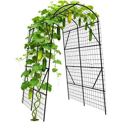 Cucumber trellis arch with net 230x140x198 cm 229384394 (1/5)