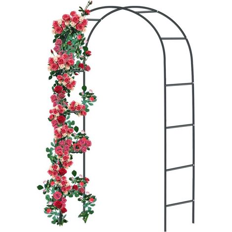 Arche de Rose en métal - Grille de Rose en Acier revêtu par Poudre - Décoration de Jardin et décoration - Résistant aux intempéries - 240 x 140 x 38 cm - Noir-RAPANDA (1/5)
