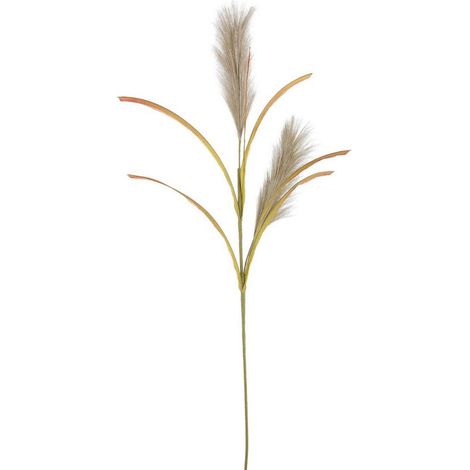 Ramo decorativo "Khali" Pampas color Verde Ø 5 x h 85 cm