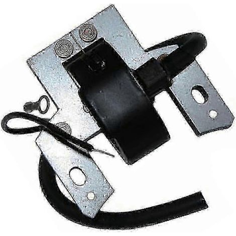 Module de bobine d'allumage pour moteurs 5 CV sans démarrage électrique 130200 130900 131200 131400 et 131900 et 10 et 13 CV (1/4)