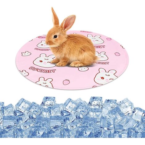 Tapis rafraîchissant rond pour animaux (lapin rose), coussin rafraîchissant pour animaux, gel rafraîchissant automatique (1/5)