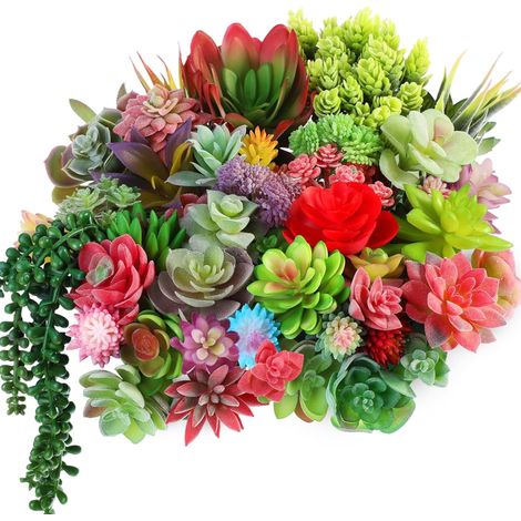 Lot de 50 plantes succulentes artificielles, mini cactus réalistes sans pot, décoration intérieur jardin mariage (1/5)