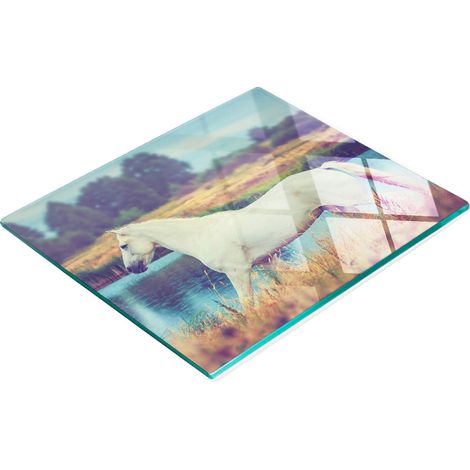 Küchenservierbrett aus Glas mit Schimmelsee-Motiv, 60 x 52 cm (1/5)