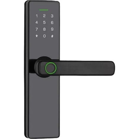 Serrure de Porte électrique Intelligente à Empreintes digitales, avec Mot de Passe RFID, Mode de Passage, poignée, télécommande APP (1/5)
