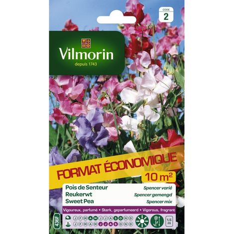 Vilmorin - Pois de senteur Spencer varié format éco (1/2)