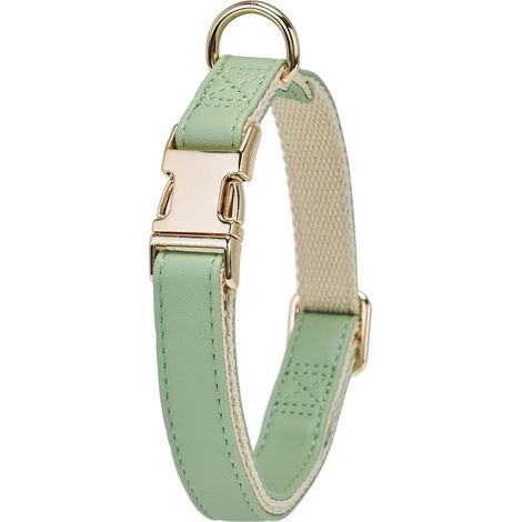 Collier pour chien en cuir souple avec boucle de sécurité en métal à ouverture rapide, adapté aux chiots à la peau sensible, vert aigue-marine clair. (1/4)
