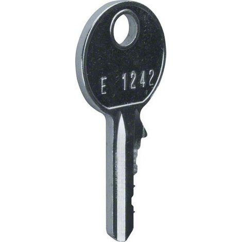 Chiave di ricambio universale per serratura FZ597, 1242E, IP44/IP54 FZ596