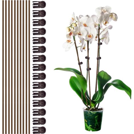 Lot de 10 tuteurs pour plantes avec 15 pinces, tiges flexibles de 18 pouces de haut, pinces marron pour orchidées, adapté à la croissance des fleurs d'intérieur et d'extérieur, rosiers, amaryllis.