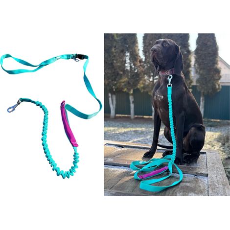 Guinzaglio per cani con ammortizzatore, regolabile, accorciato, con maniglia, 280 cm, MENTA, AMOhand, allacciare (1/5)