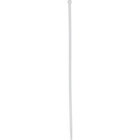 Weißes Rilsan: 2,5 X 100 mm (25 Stück)