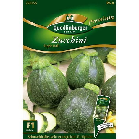 Quedlinburger Saatgut – Courgette ronde Eight Ball – Graines de légumes, fruits ronds vert foncé (1/2)
