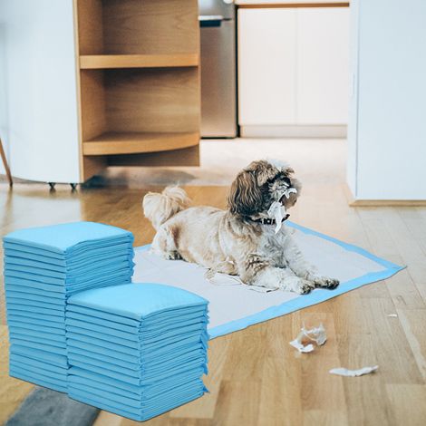 Randaco 200 empapadores higiénicos 45x60 cm, alfombrillas desechables para perros