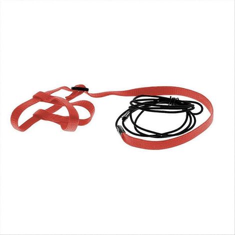 Perroquet oiseau harnais laisse extérieur Flying Traction sangles bande, rouge M (1/5)