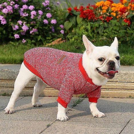 Ropa de primavera y verano para perros pequeños, suéter suave para mascotas, ropa para perros Chihuahua, atuendo clásico para mascotas Ropa Perro Rojo (1/5)