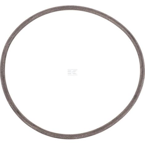 O-Ring CNH 372261S