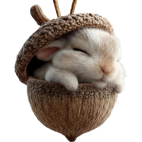 10 Ornements de Noël, animaux de la forêt, glands et pommes de pin, décoration rustique, sapin de Noël (1/5)