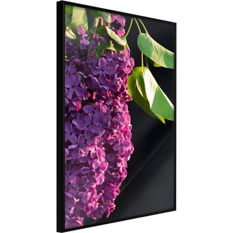 Affiche Murale Encadrée "Violet May" 21 x 30 cm Noir